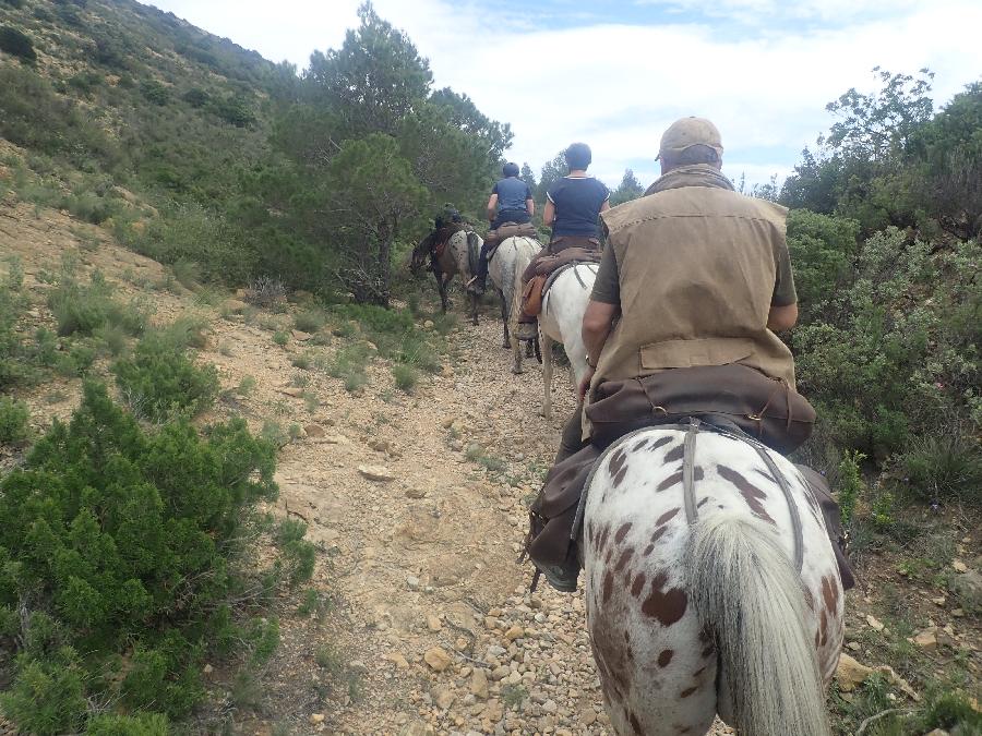 sejour Pyr�n�es-Orientales Pyr�n�es photo 5