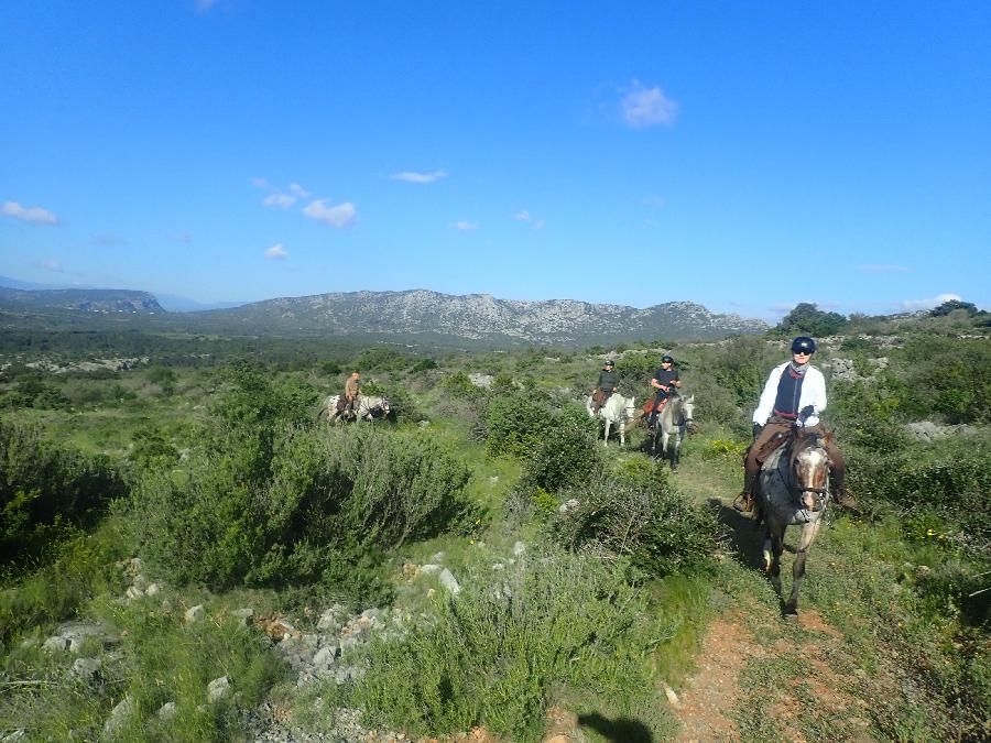 sejour Pyr�n�es-Orientales Pyr�n�es photo 6