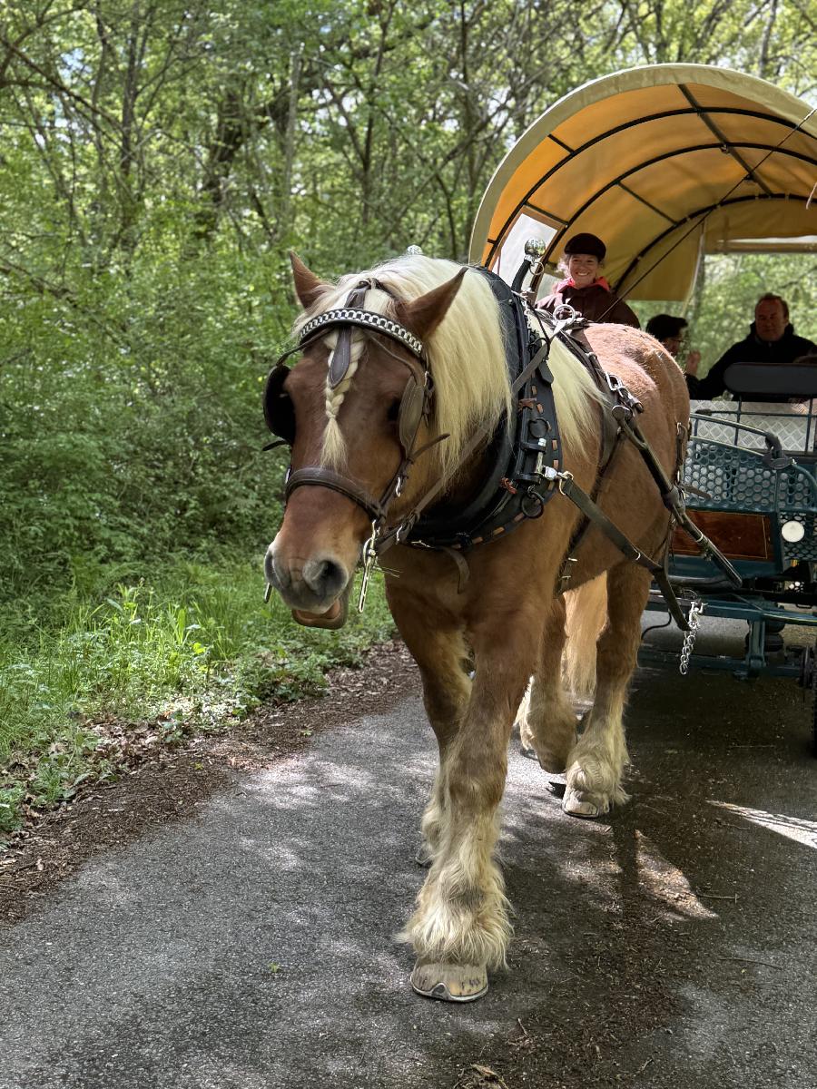 sejour Haute-Garonne 