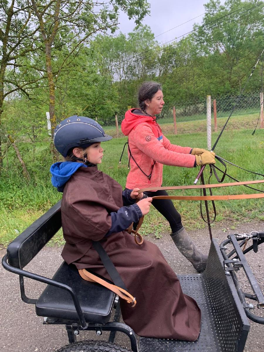 sejour Haute-Garonne  photo 2