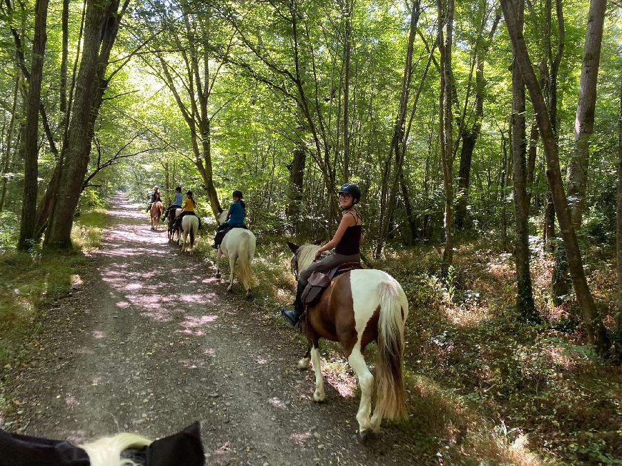 sejour Haute-Garonne  photo 3