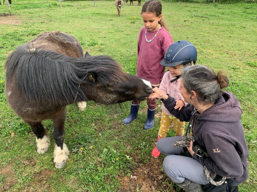 sejour Haute-Garonne  photo 4
