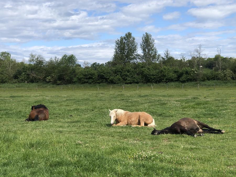 sejour Haute-Garonne 