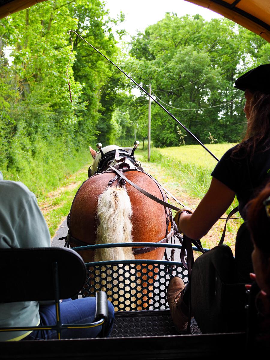 sejour Haute-Garonne  photo 2