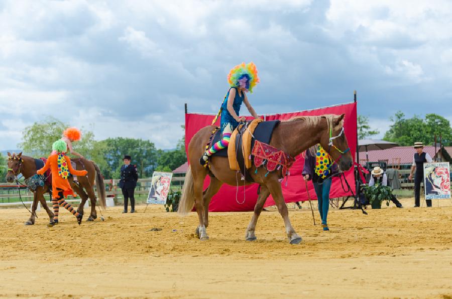 Stage quitation Isre Valle du Haut Brda photo 6