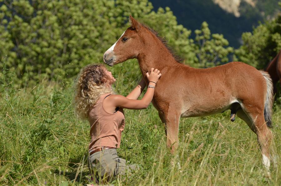 sejour Alpes de Haute-Provence  photo 3
