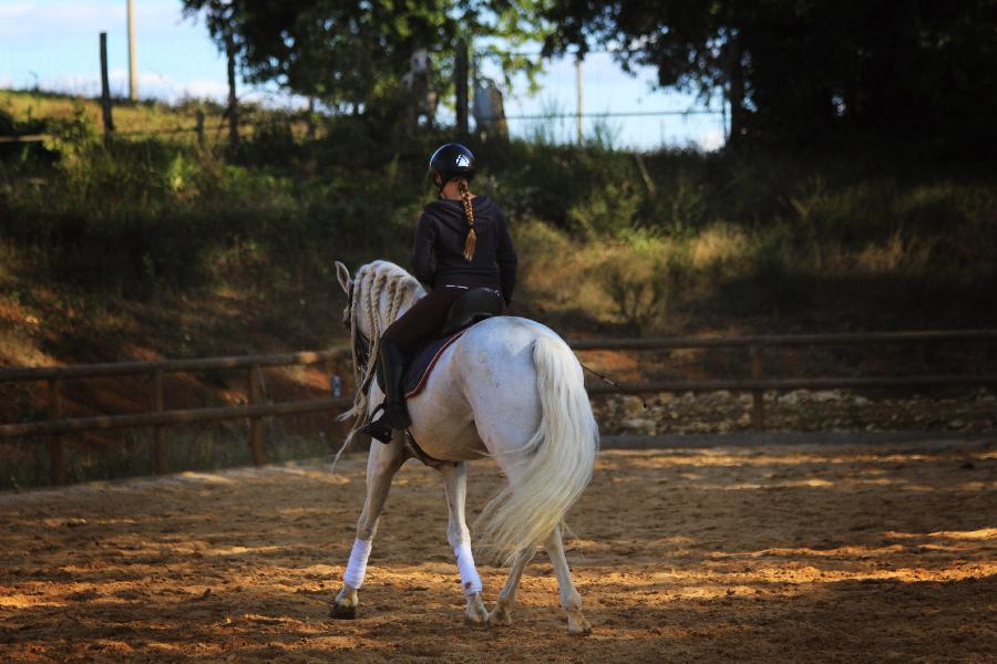 Sjour questre Dordogne Prigord photo 5