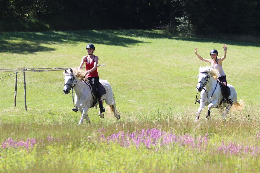 Sjour questre Dordogne Prigord photo 6