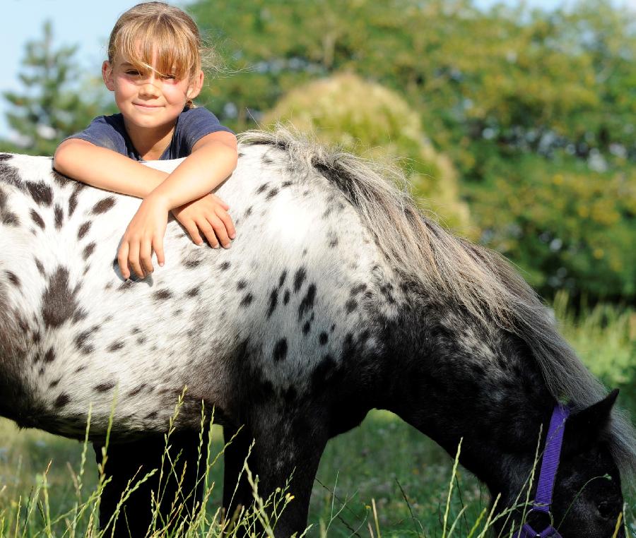 stage Equitation de pleine nature Vienne