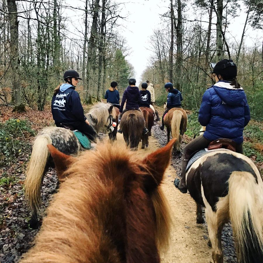 sejour Vienne For�t de Mouli�re