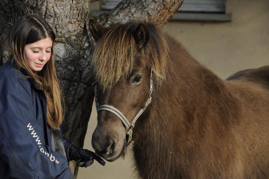 sejour Vienne For�t de Mouli�re photo 2