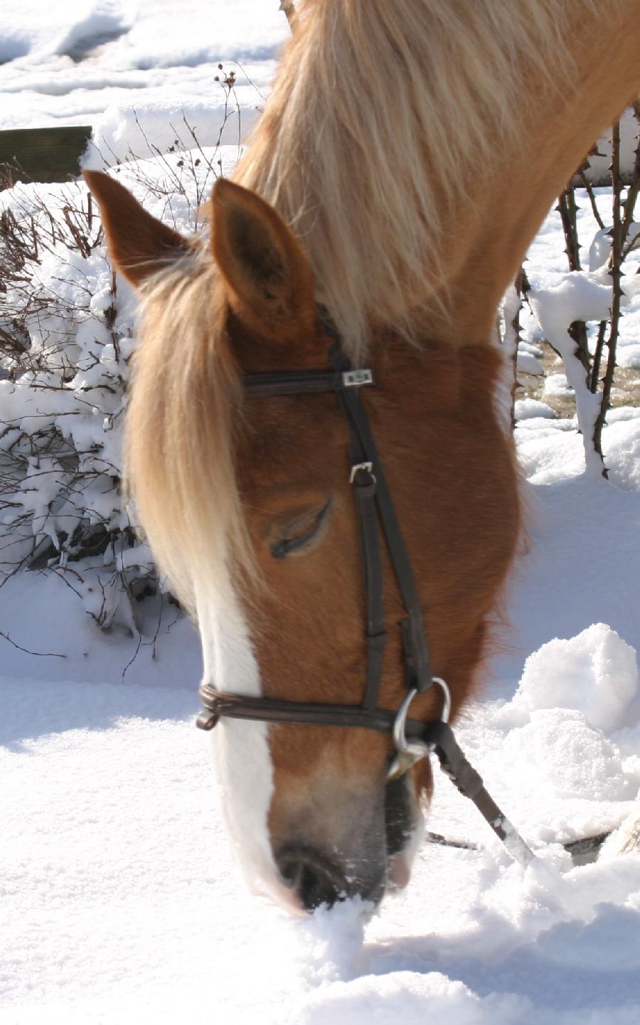 sejour Vienne For�t de Mouli�re photo 5