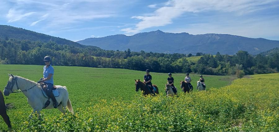 sejour Hautes-Alpes PNR des Baronnies Proven�ales photo 3