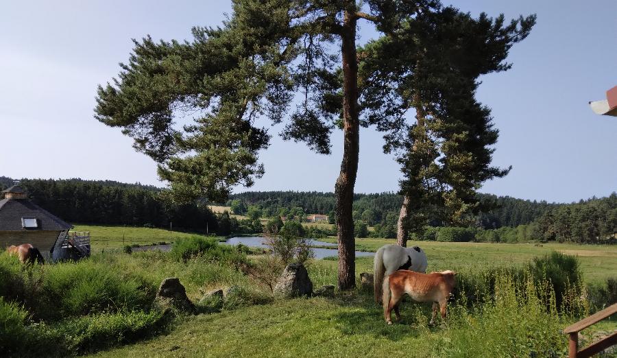 sejour Haute-Loire  photo 3