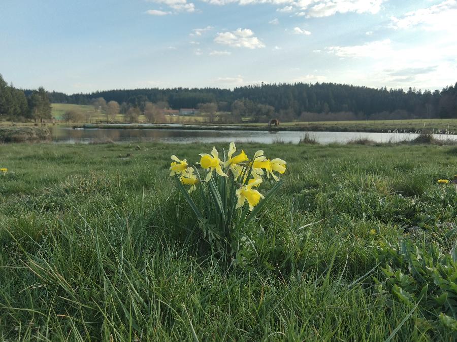 sejour Haute-Loire  photo 5