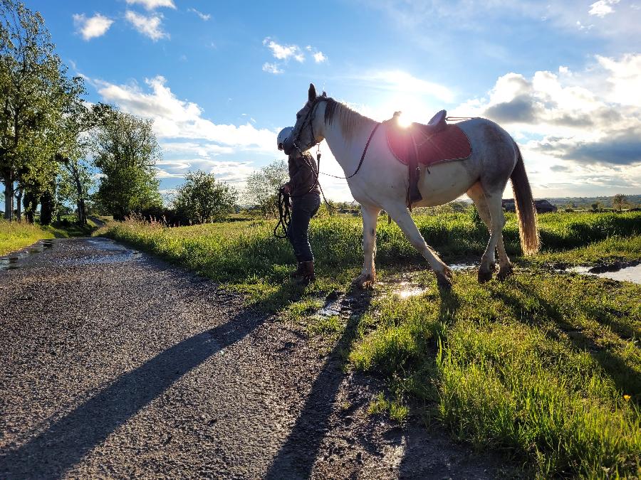 sejour Tarn S�gala