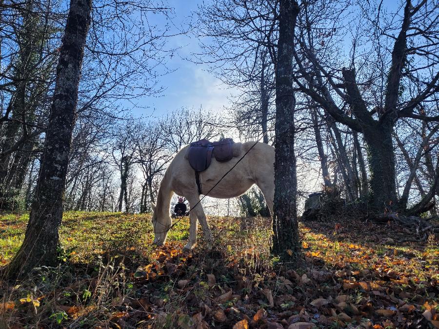 sejour Tarn S�gala photo 3