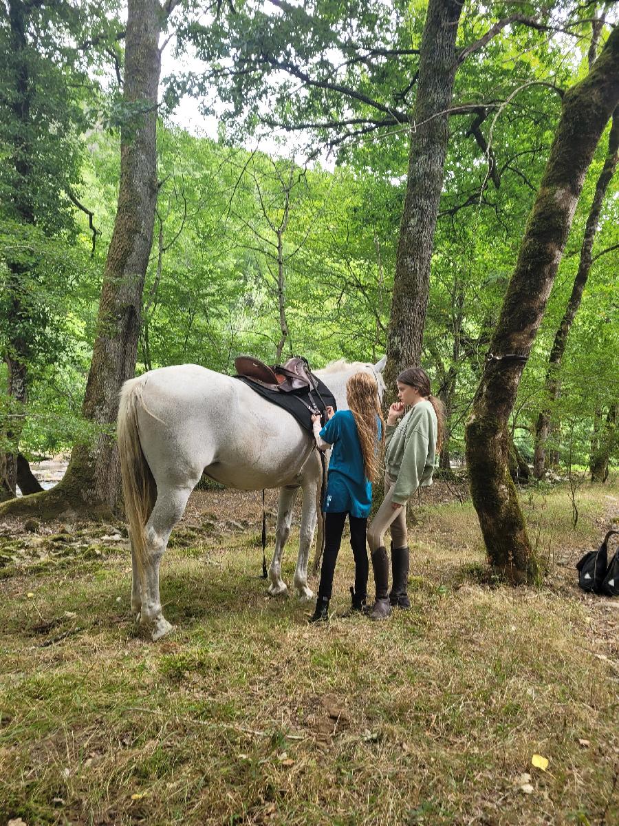 sejour Aveyron Sgala photo 5