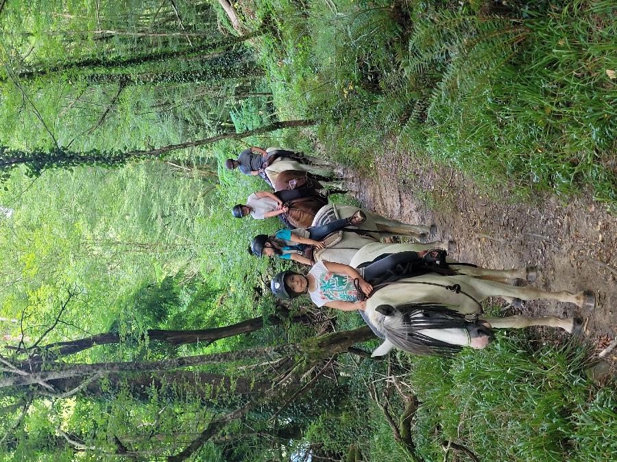 sejour Tarn S�gala photo 2