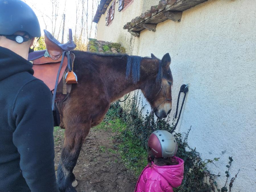 sejour Tarn S�gala photo 4