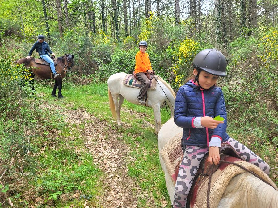 sejour Tarn S�gala photo 5