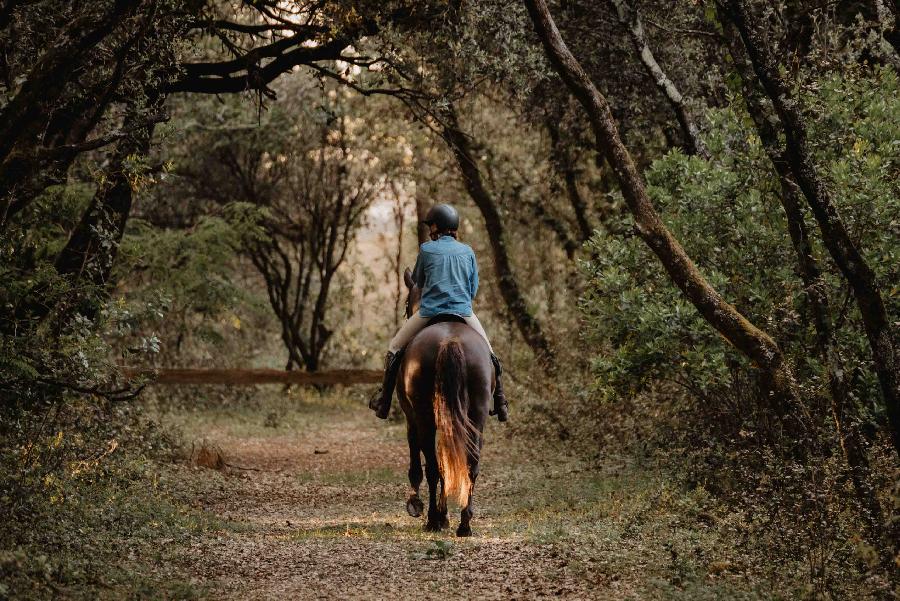 sejour Gironde PNR du Mdoc photo 4