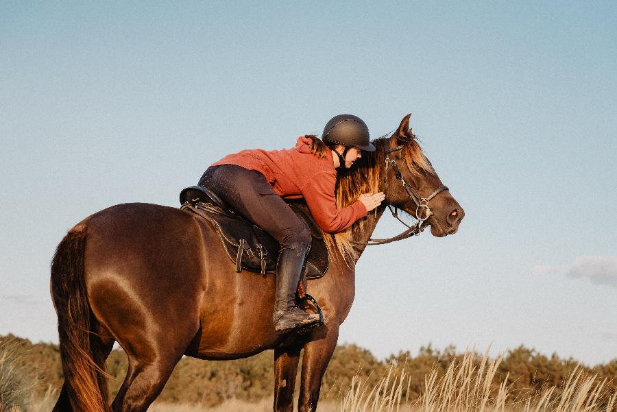 sejour Gironde PNR du Mdoc photo 5