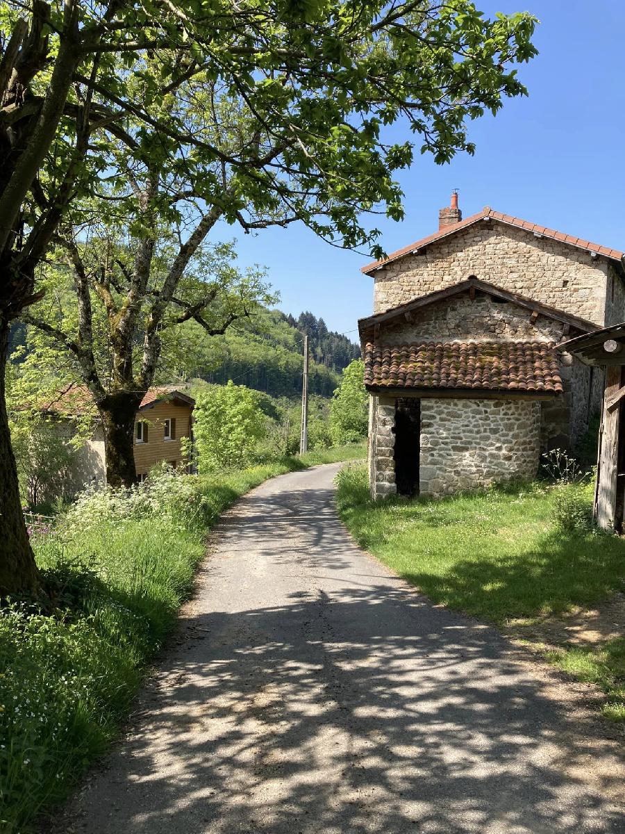 sejour Puy-de-dme PNR du Livradois Forez photo 2