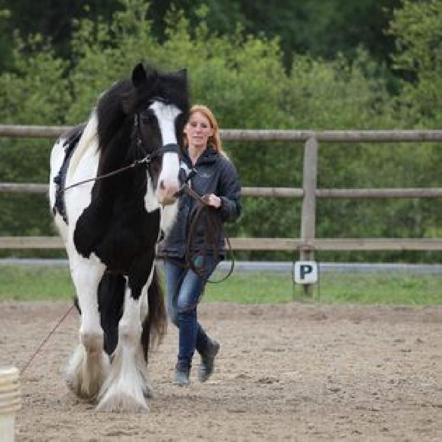 sejour Puy-de-d�me PNR du Livradois Forez