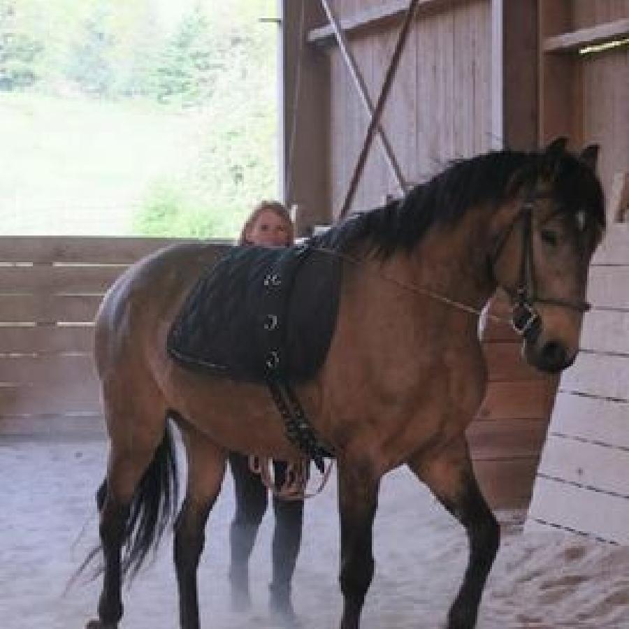 sejour Puy-de-d�me PNR du Livradois Forez photo 2