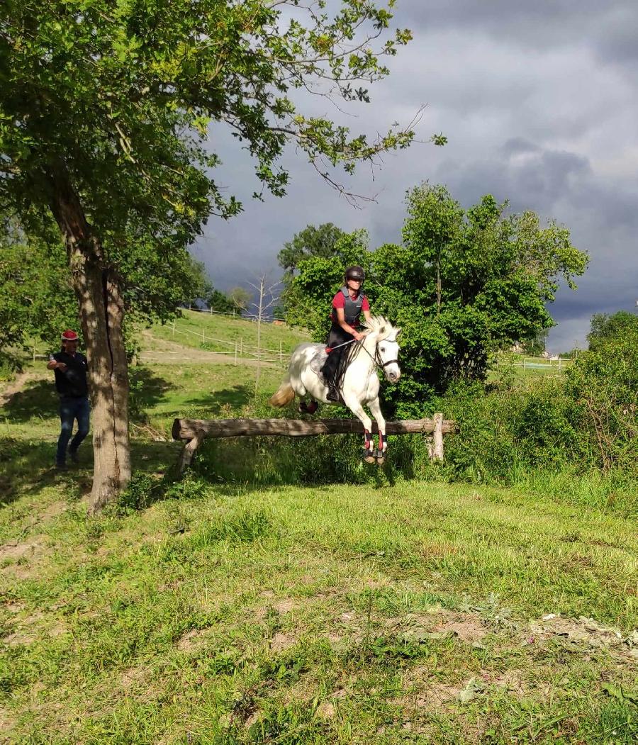 sejour Puy-de-dme PNR du Livradois Forez photo 2