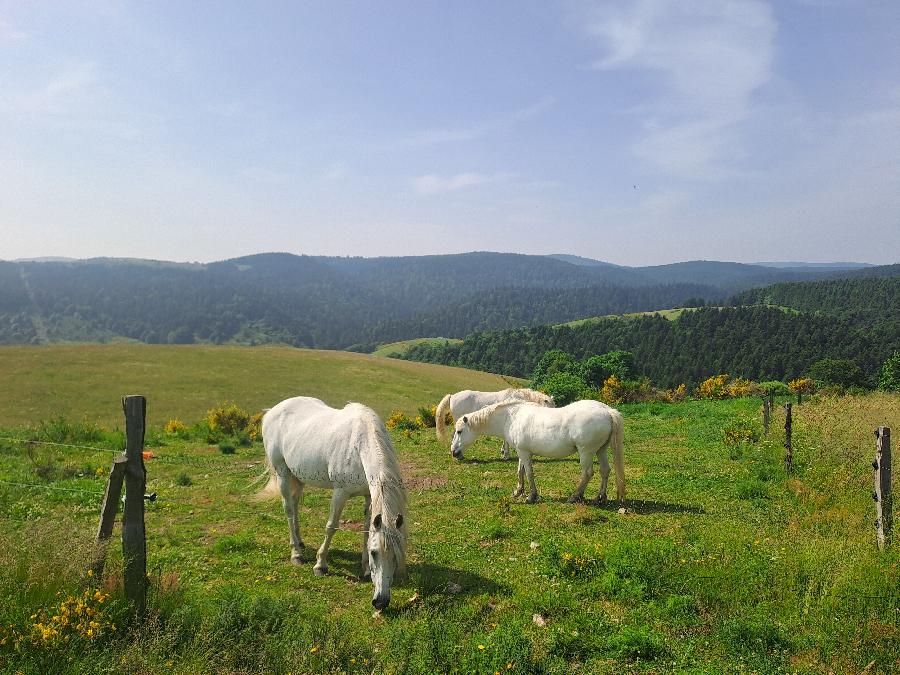 sejour Ardche  photo 4