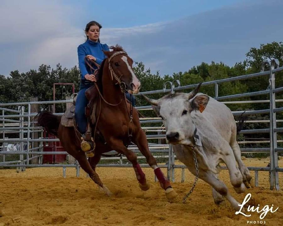 sejour Ardche Ardche Verte photo 2