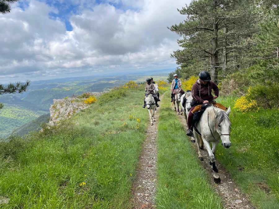 Sjour questre Lozre Parc National des Cvennes photo 3