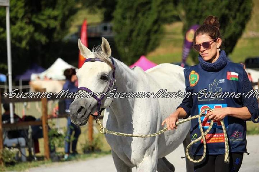 Stage quitation Cte-dOr Bourgogne photo 3