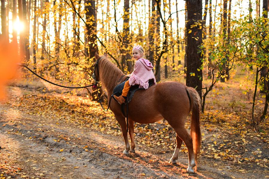 stage Dcouverte cheval poney Drme