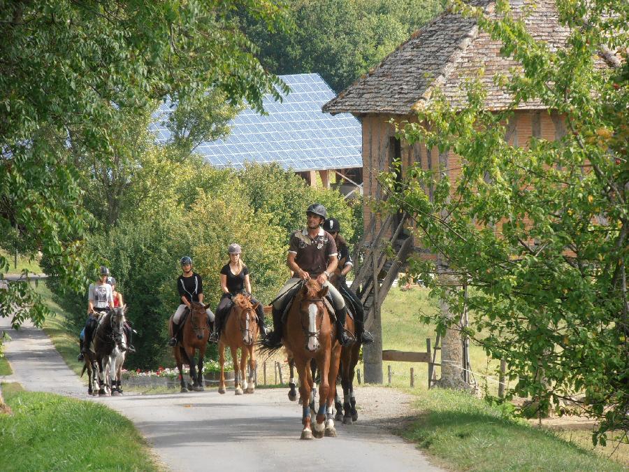 stage Equitation classique Tarn-et-Garonne