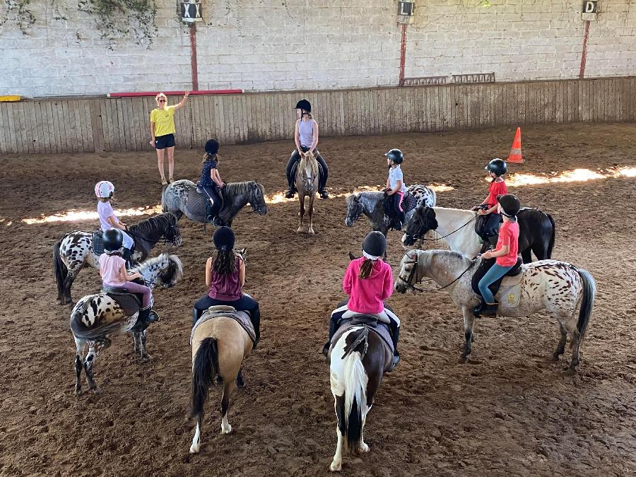 stage Equitation classique Tarn-et-Garonne