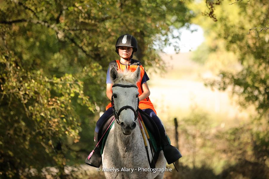 stage Equitation classique Tarn-et-Garonne