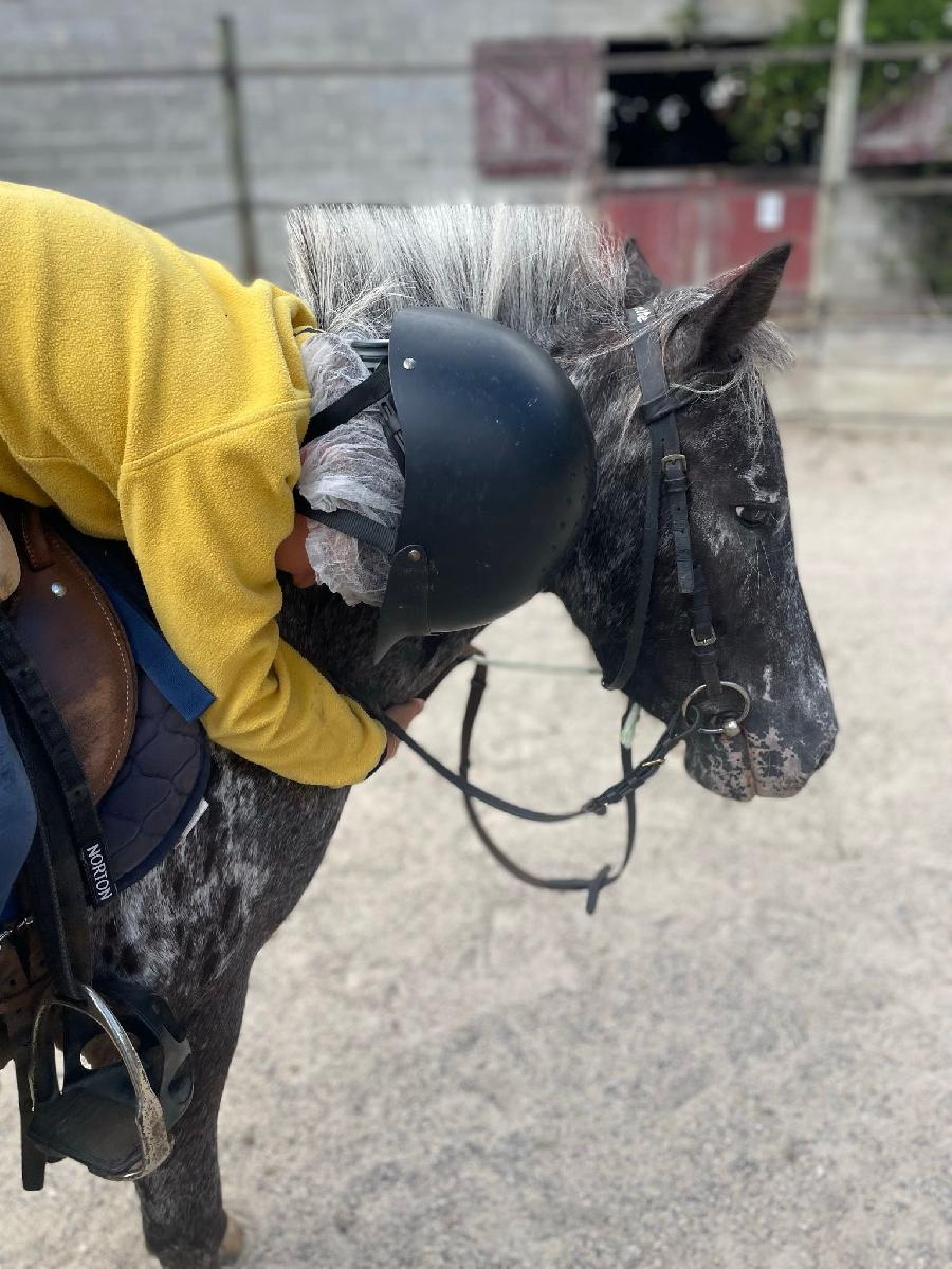 sejour Tarn-et-Garonne Quercy photo 2