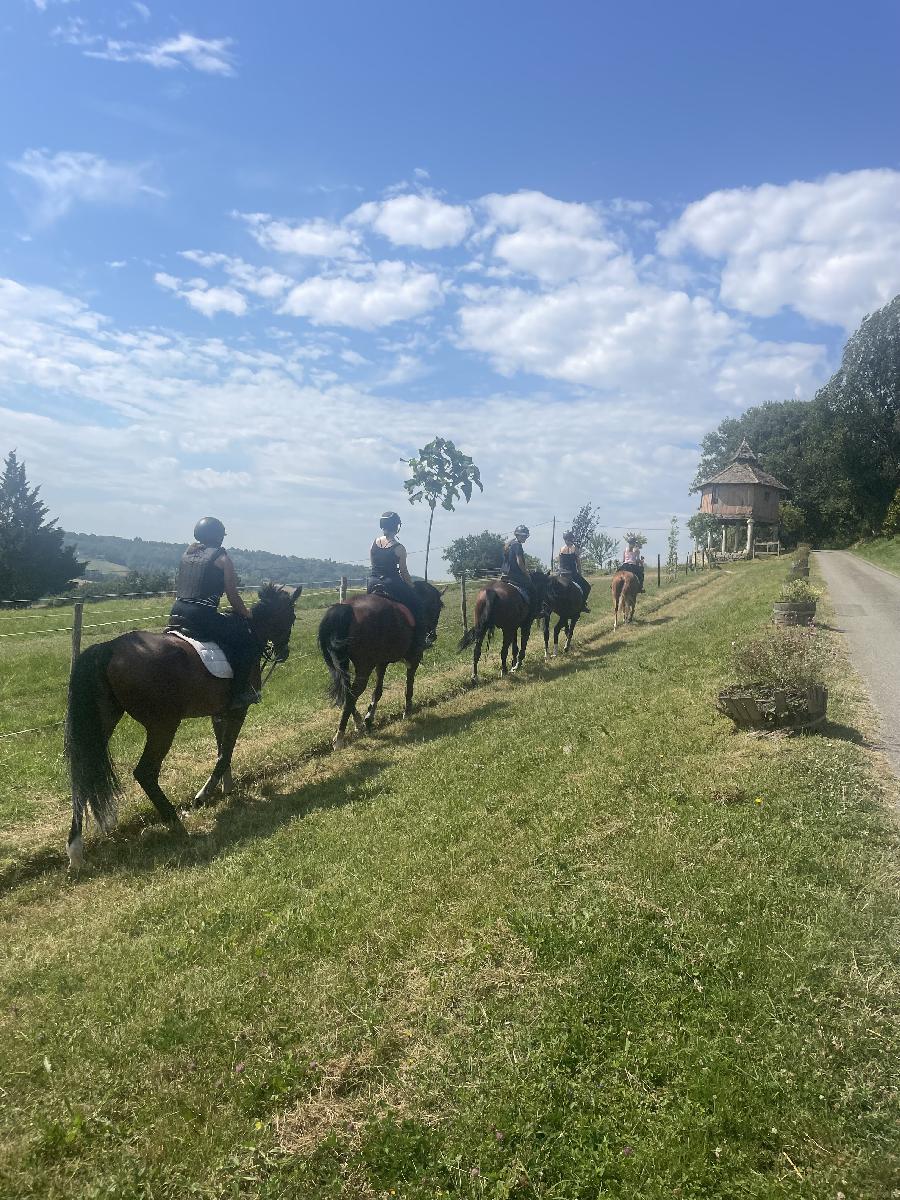 sejour Tarn-et-Garonne Quercy photo 2