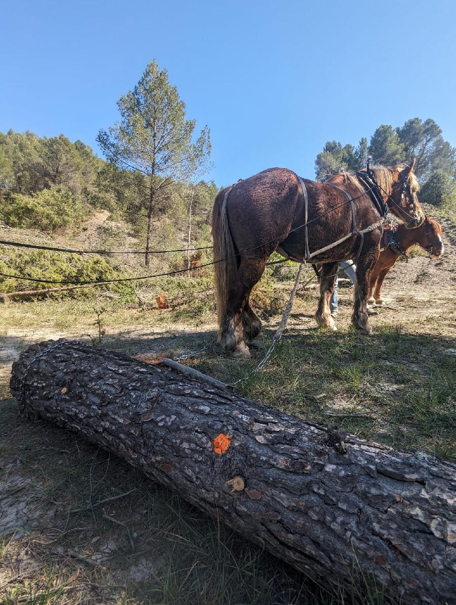 sejour Alpes de Haute-Provence Valle de l'Ubaye photo 2