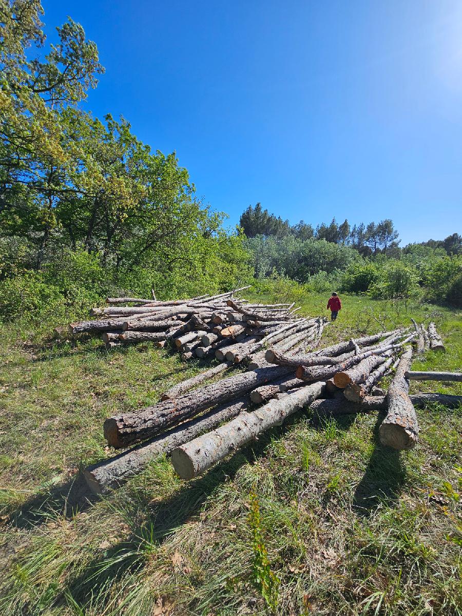 sejour Alpes de Haute-Provence Valle de l'Ubaye photo 3
