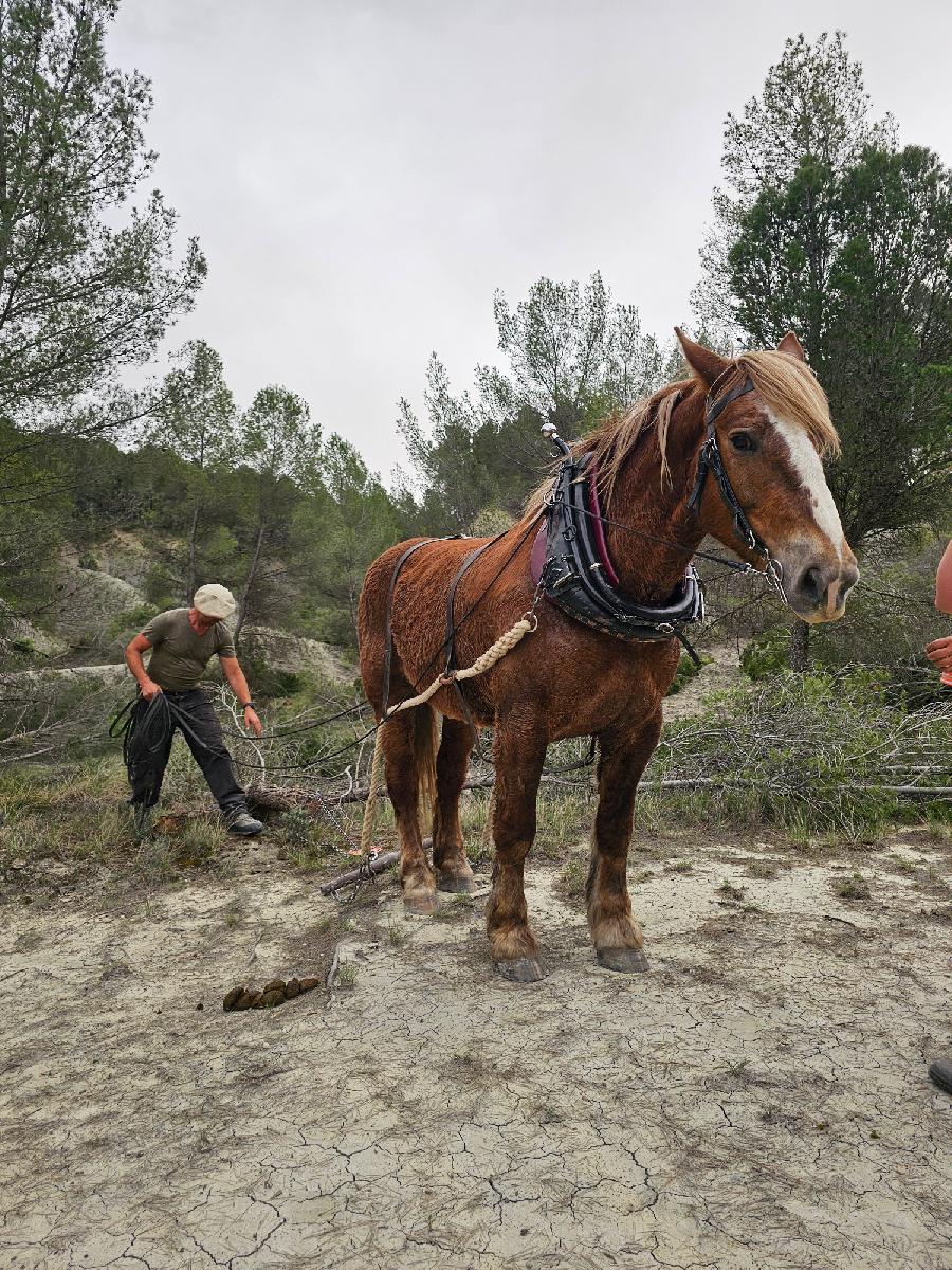 sejour Alpes de Haute-Provence Valle de l'Ubaye photo 4