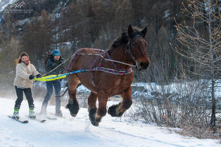 stage Ski-joering Alpes de Haute-Provence