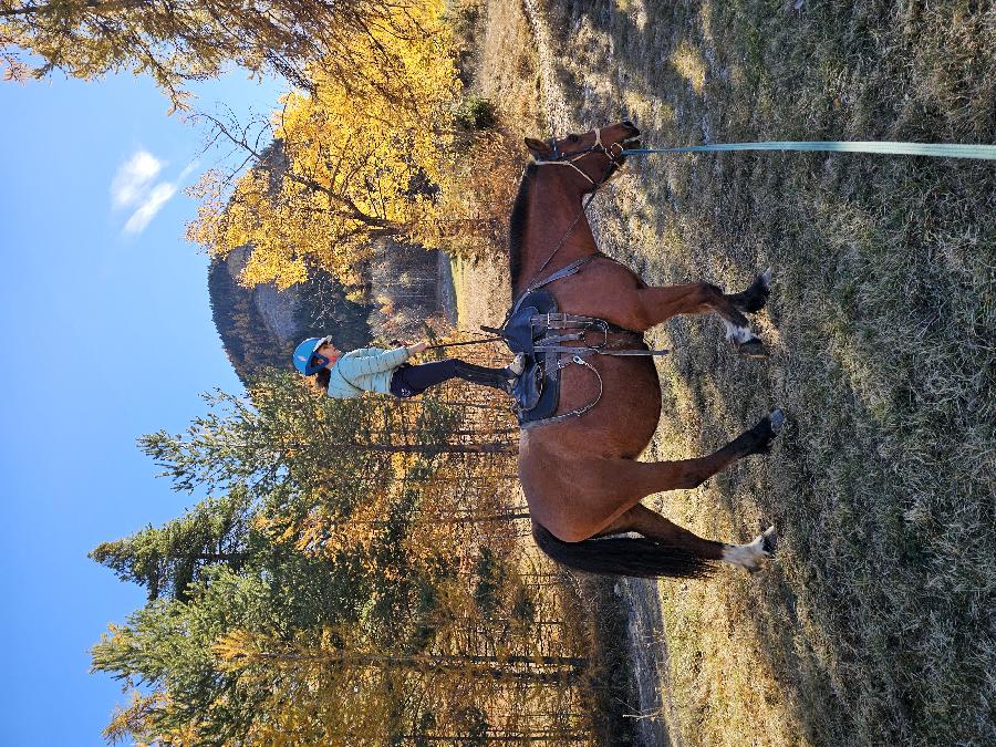 sejour Alpes de Haute-Provence Valle de l'Ubaye photo 5