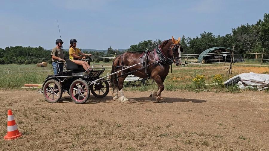 sejour Alpes de Haute-Provence Valle de l'Ubaye photo 3