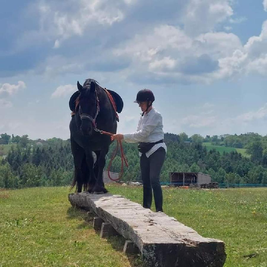 sejour Allier Montagne Bourbonnaise