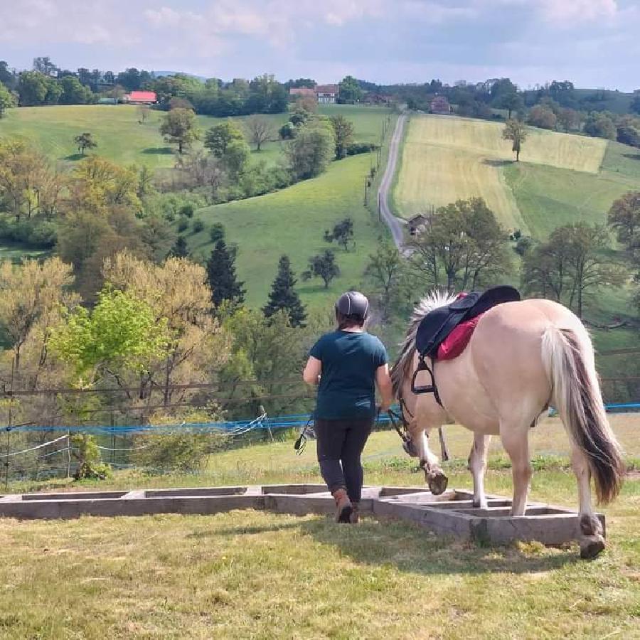 sejour Allier Montagne Bourbonnaise photo 3