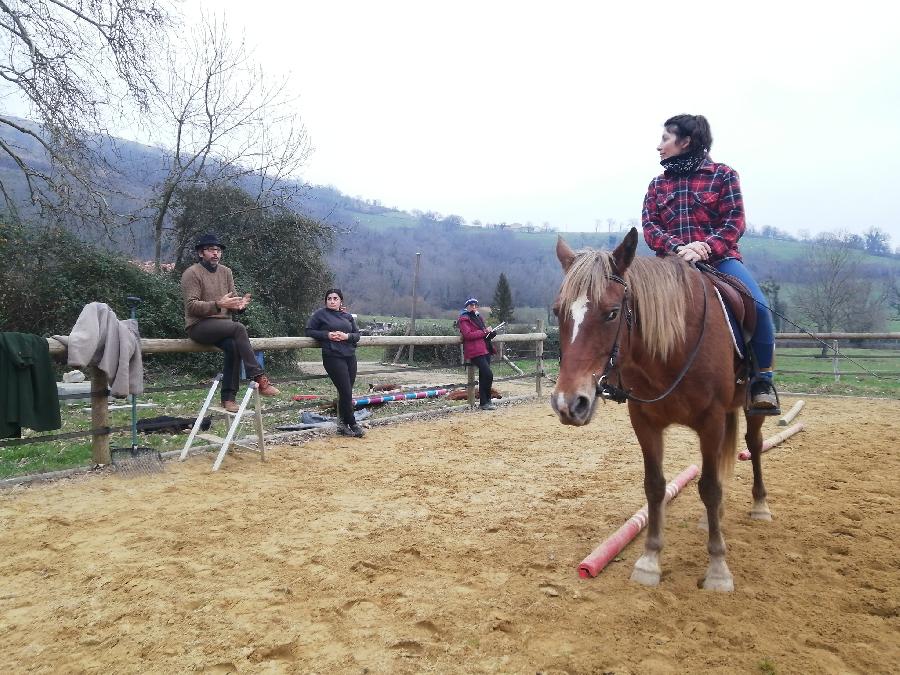 stage Equitation classique Lozre